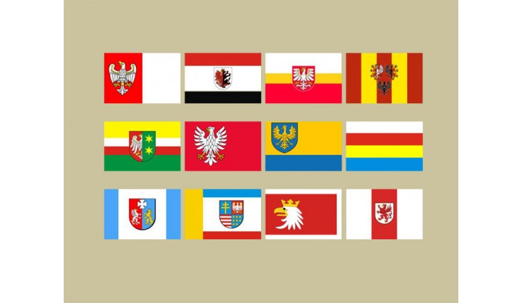 Flaga korporacyjna, flaga miasta i td